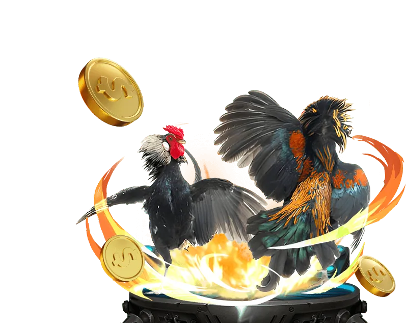 Giao diện cá cược đá gà 66VIP