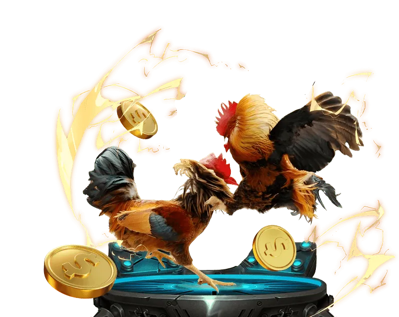 Banner và tài liệu quảng cáo